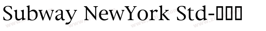Subway NewYork Std字体转换